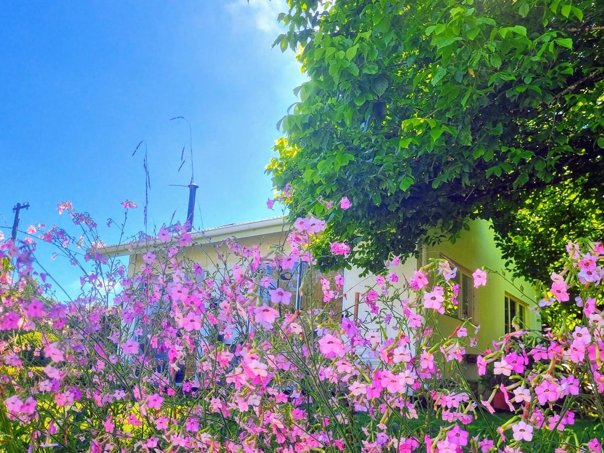 The Cottage On The Corner Himeville Dış mekan fotoğraf
